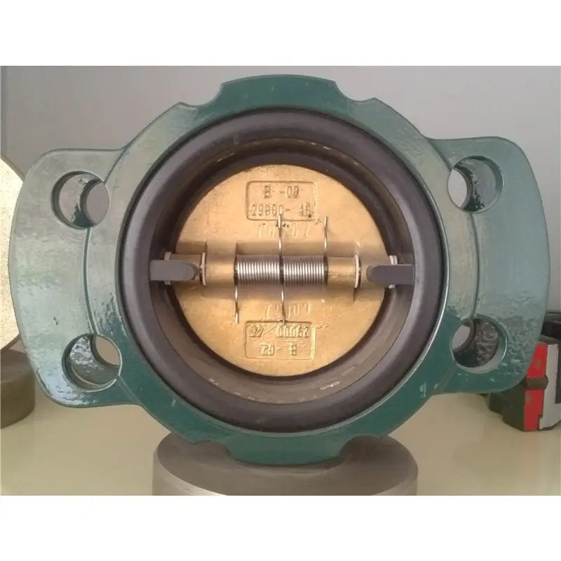 resilient-seated-check-valve-1-1.webp