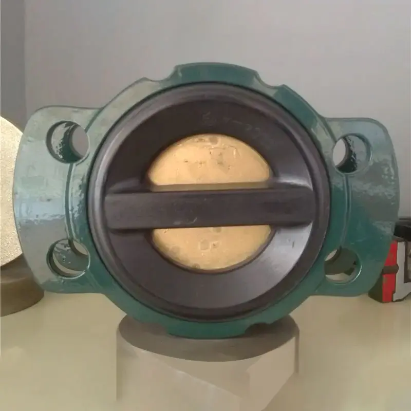 Resilient Seated Check Valve for Reliable Flow Control